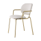 Si-Si Armchair